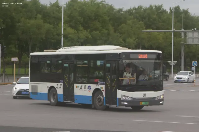 800BUS