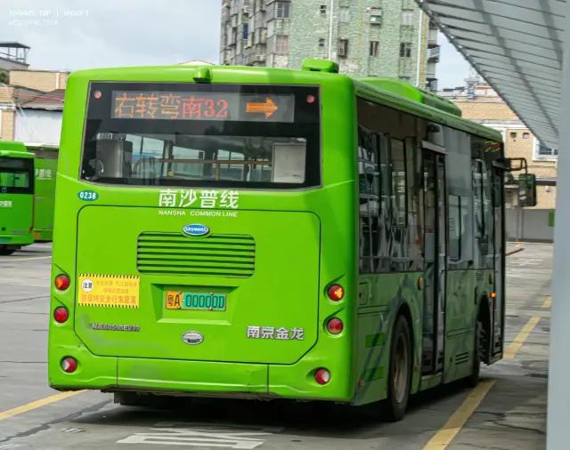 800BUS