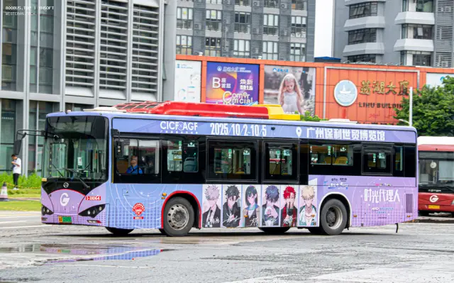 800BUS