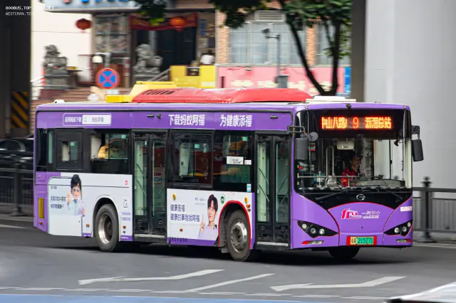 粤A.21517D