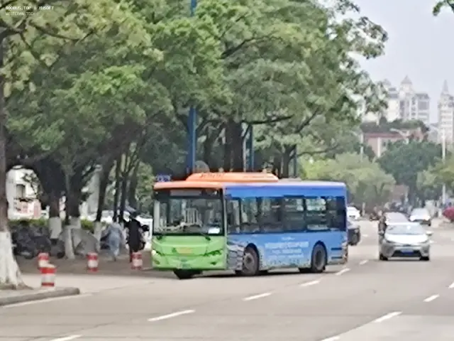 800BUS