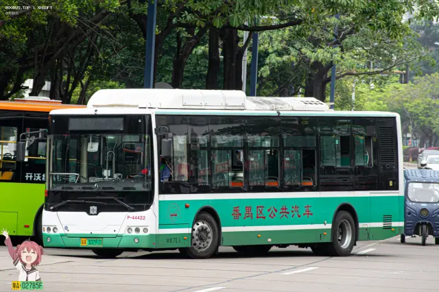 粤A.30291D