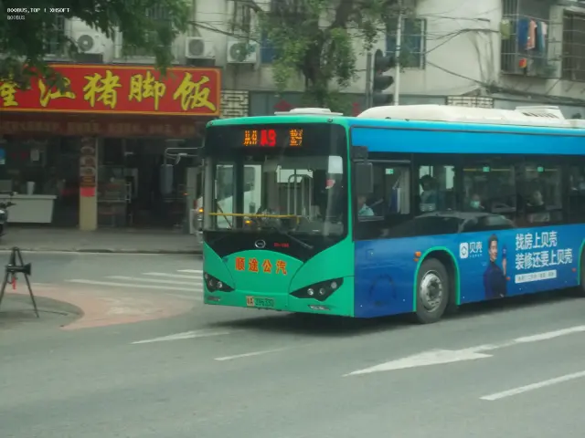 800BUS