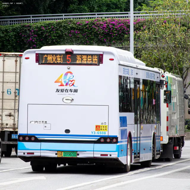 800BUS