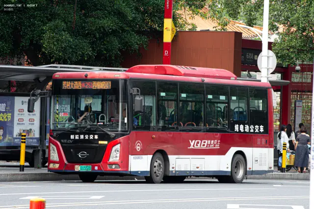 粤E 01552D