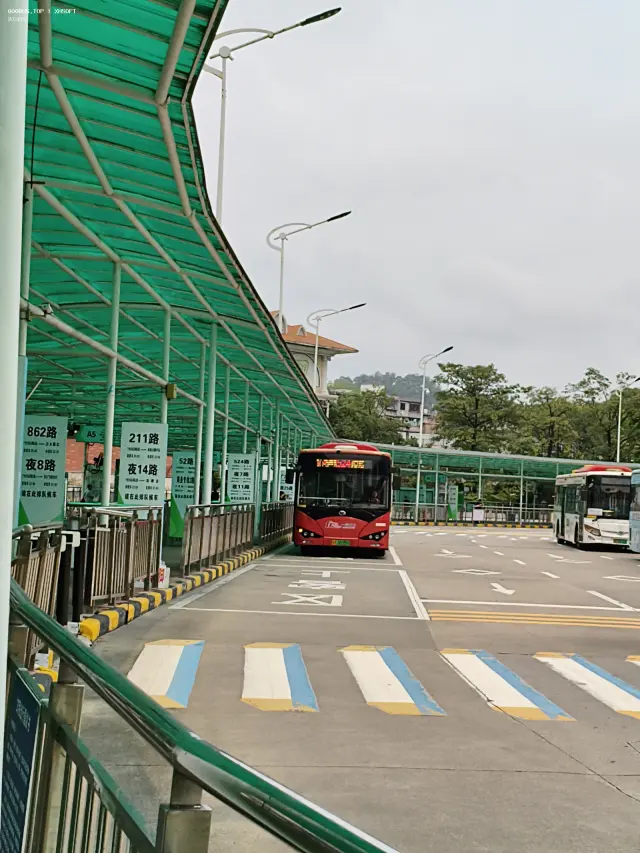 800BUS