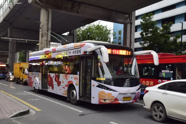 粤A M5970