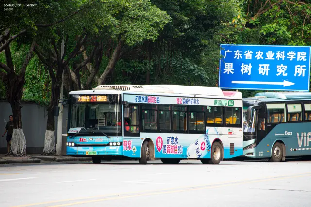 粤A 20199D