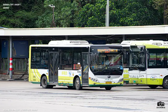 800BUS