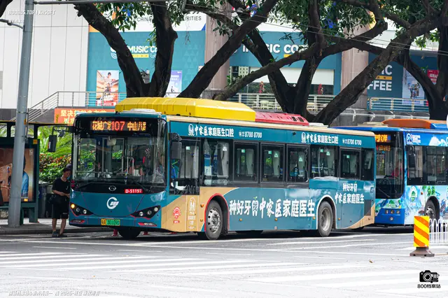 粤A 30109D
