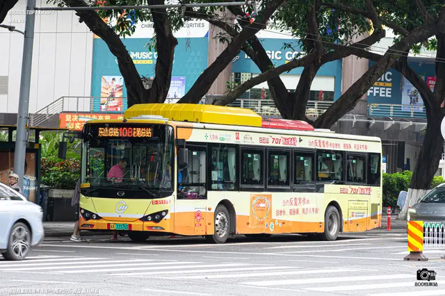 粤A 33376D