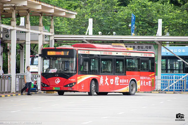 800BUS