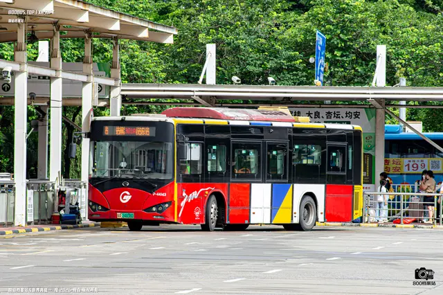 800BUS