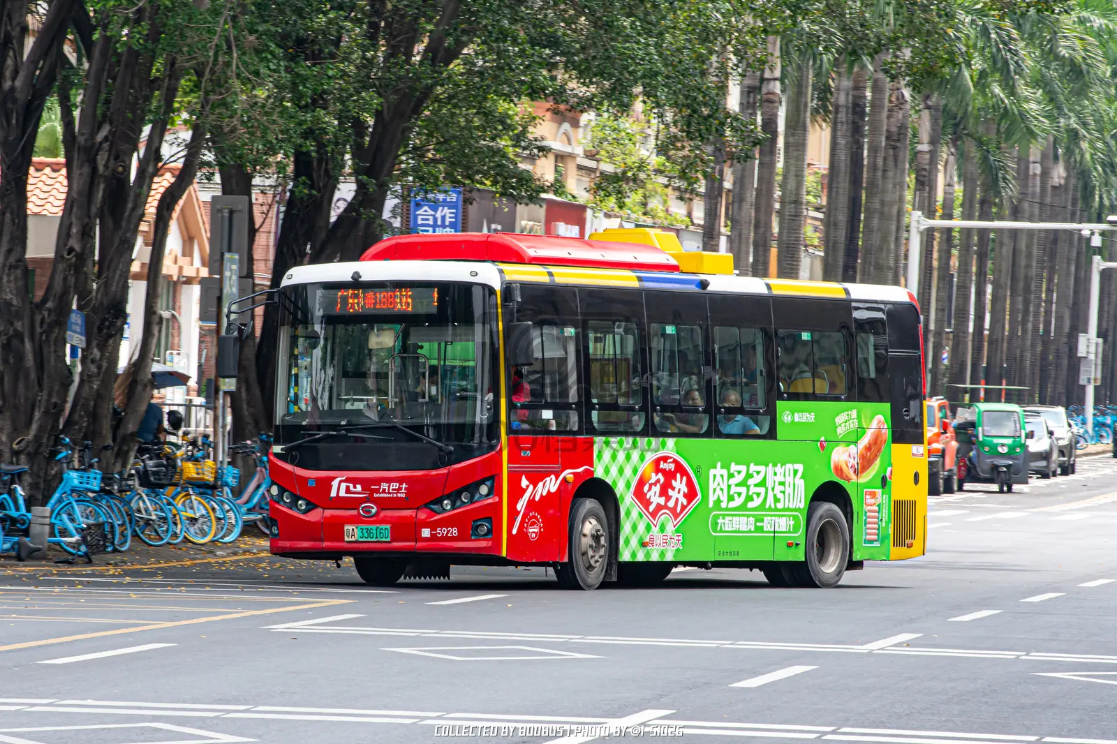 Bus Archive
