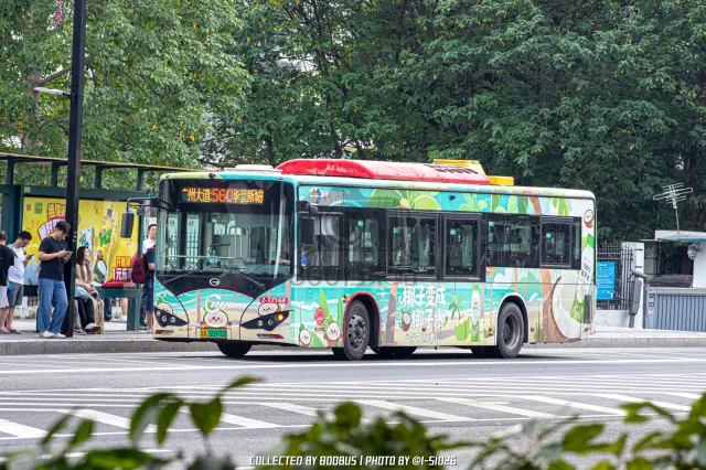 粤A 00970D