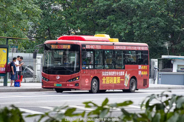 粤A 07305D