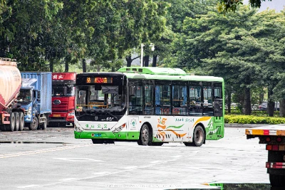 粤E 06712D