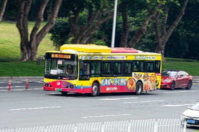 粤A 30970D