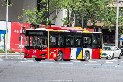 粤A 39003D