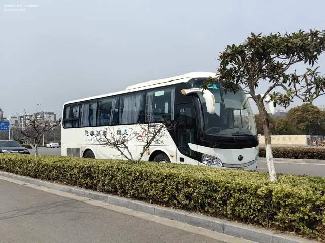 苏G39823