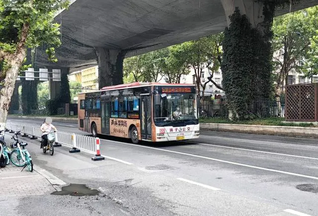 苏AE1239