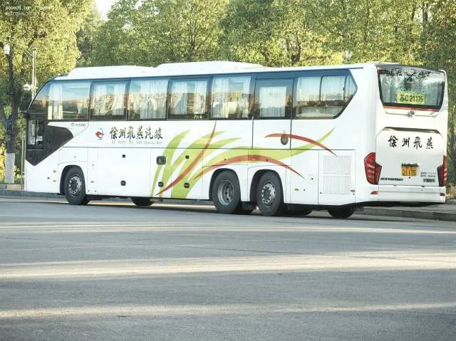 苏C21175
