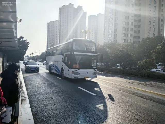 800BUS