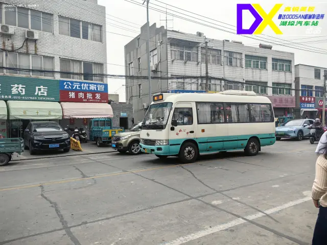 800BUS