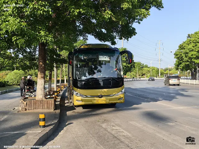 鲁B 33890