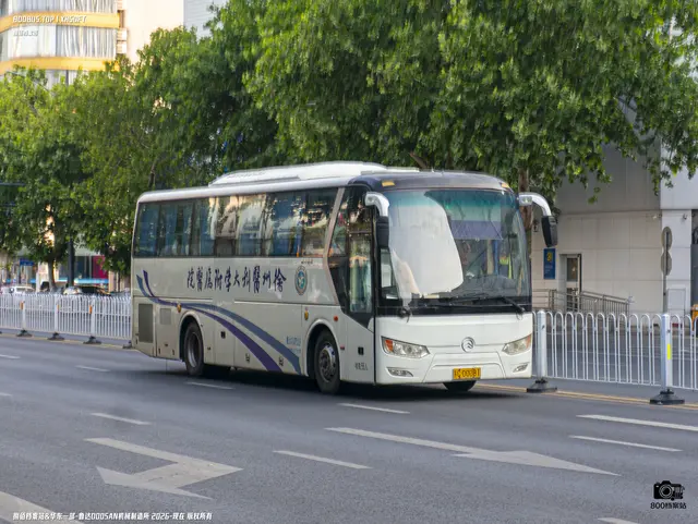 苏C 00081