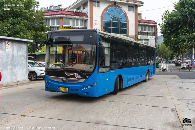 苏C 50319