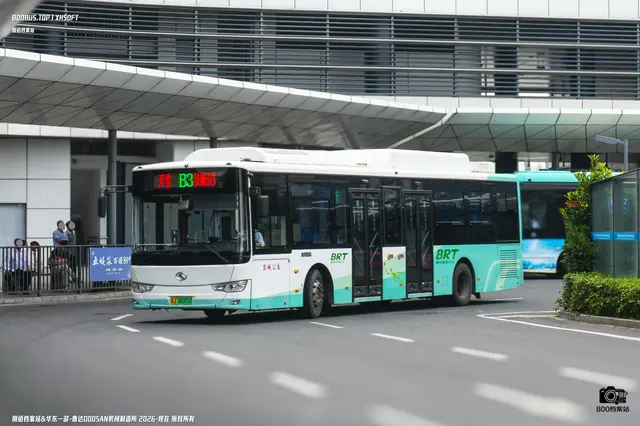 800BUS