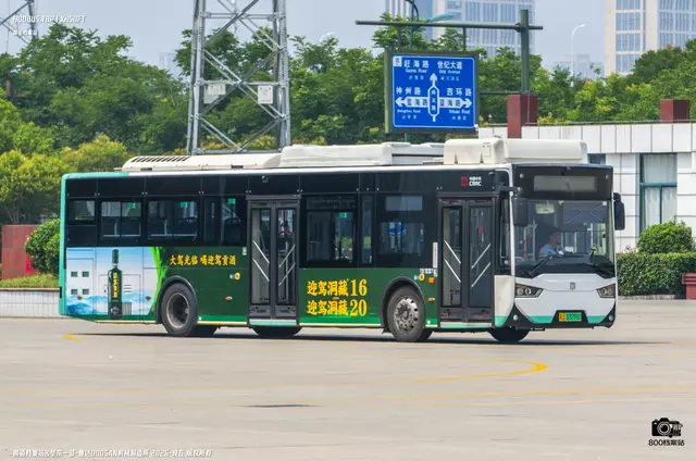 800BUS
