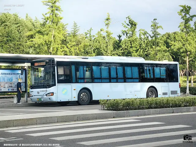 苏C 08880D