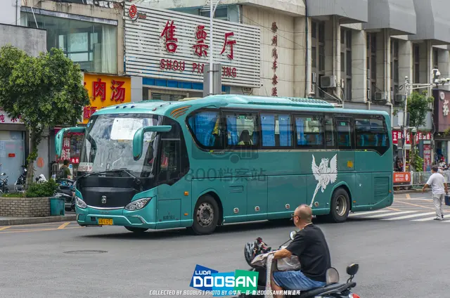 800BUS