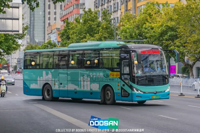 800BUS