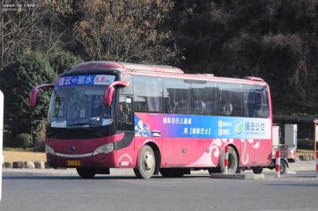 浙K G2798