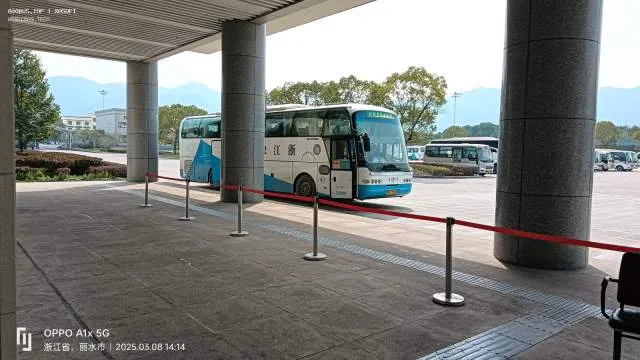 浙KJ9900