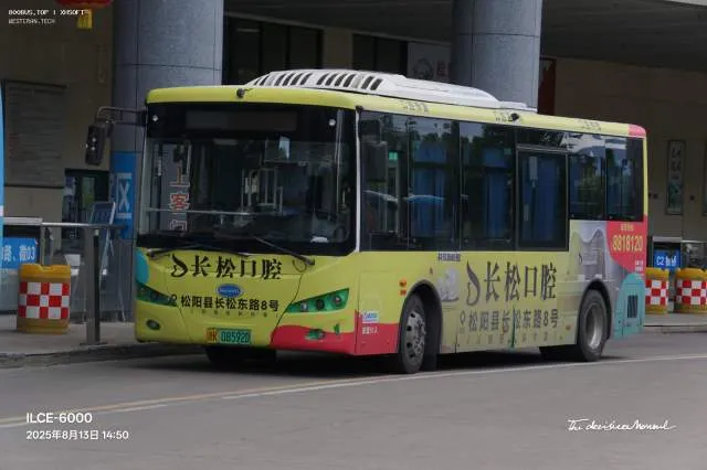 浙K 08592D