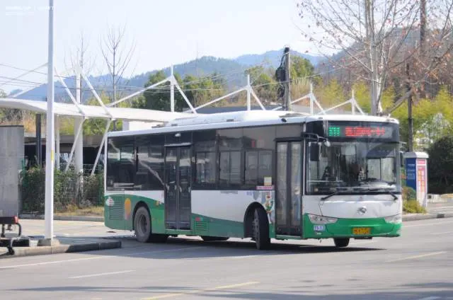 浙KK7258