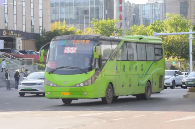 800BUS