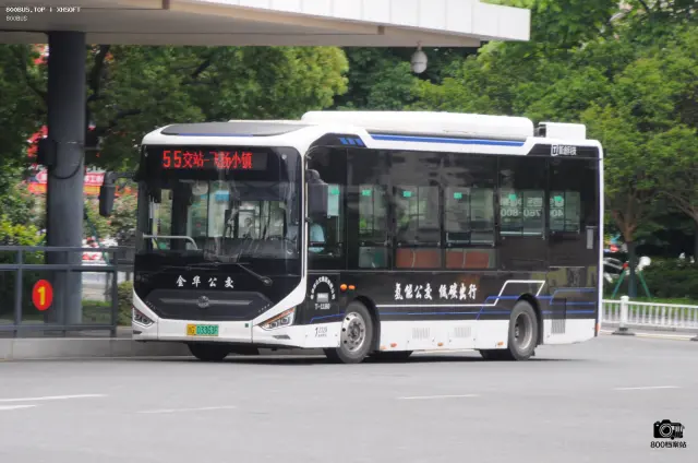 浙G 03363F