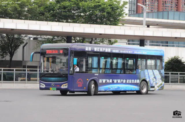 浙G 08026D