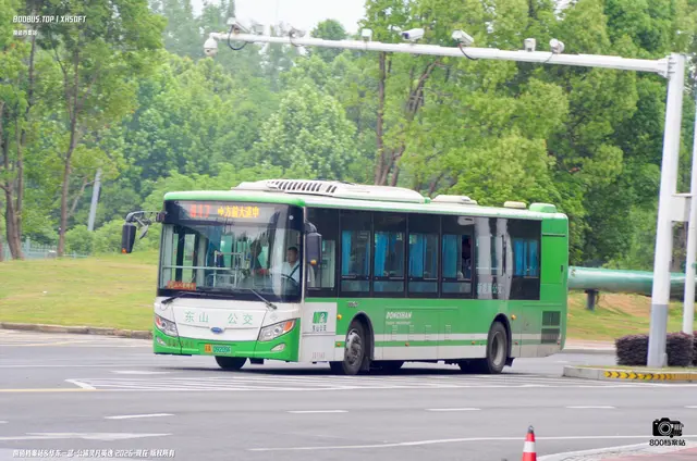 苏A 09092D