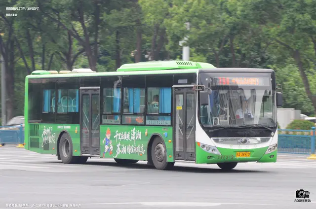 苏A J8919