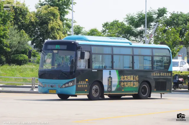 苏A G9219