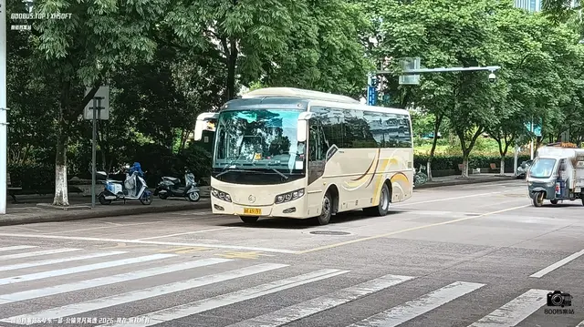浙K A9197