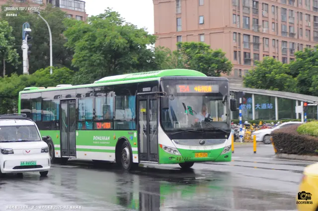 苏A J9336