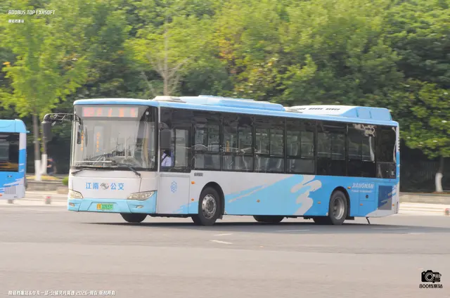 800BUS
