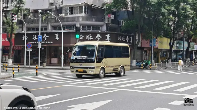 浙D D9099